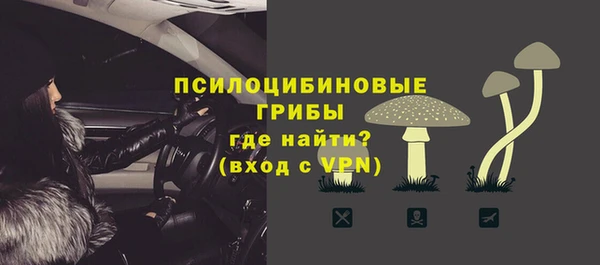 крисы Каменск-Шахтинский