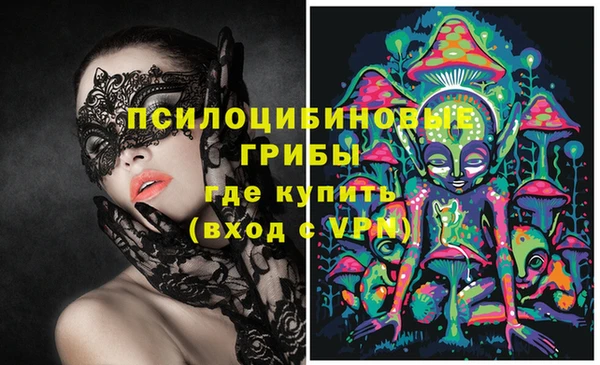 крисы Каменск-Шахтинский
